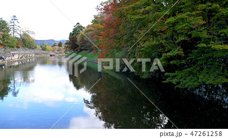 国宝彦根城のお堀と紅葉 国宝彦根城のお堀と紅葉 47261258