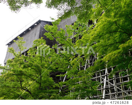 第16番清水寺 第16番清水寺 47261628