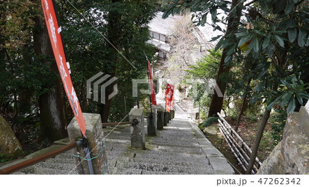 琵琶湖・竹生島宝厳寺への長い参拝階段上から 47262342