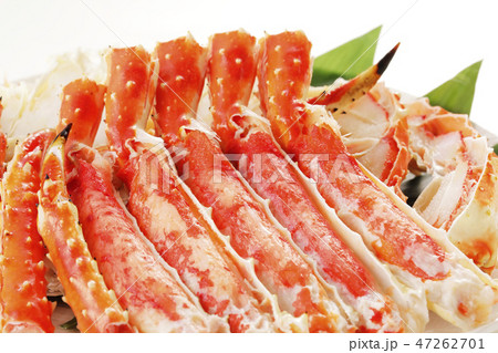 たらばがに 47262701