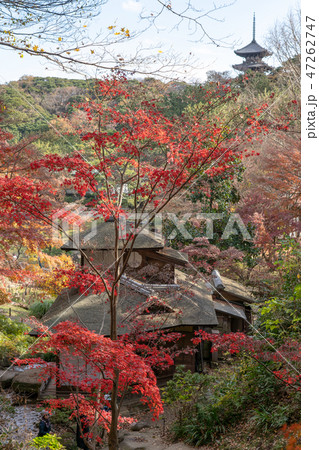 紅葉と三渓園 紅葉と三渓園 47262747