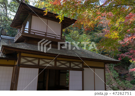 紅葉と三渓園 47262751