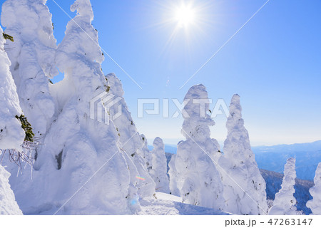 阿仁の樹氷 47263147