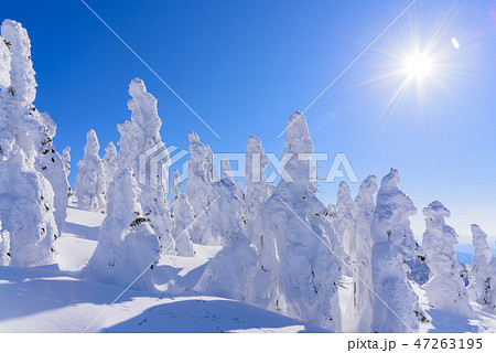 阿仁の樹氷 阿仁の樹氷 47263195