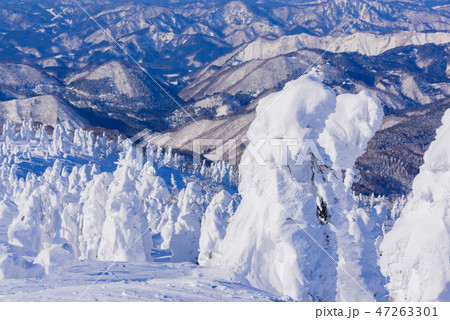 阿仁の樹氷 阿仁の樹氷 47263301