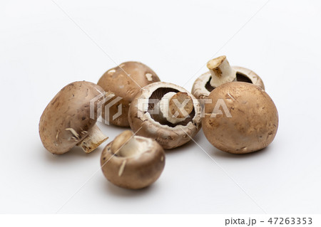 マッシュルーム 47263353
