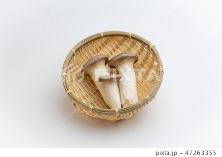 エリンギ 47263355