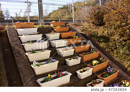 成田線水郷駅の改札口正面にある花壇 47263604