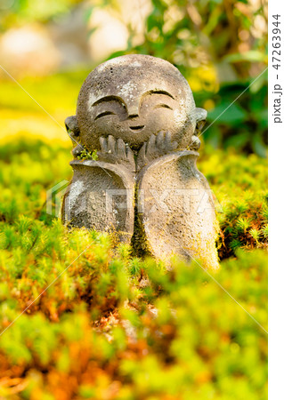 京都 圓光寺 わらべ地蔵さま 京都 圓光寺 わらべ地蔵さま 47263944