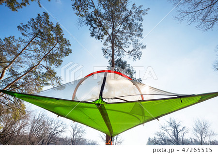 Tent in the forest Tent in the forest 47265515