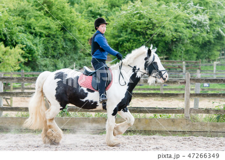 白黒の馬に乗って乗馬の練習をする少女 白黒の馬に乗って乗馬の練習をする少女 47266349