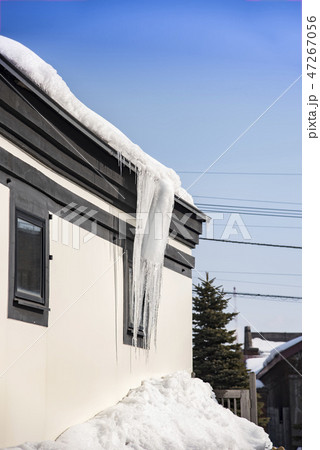 【函館　大雪】 47267056