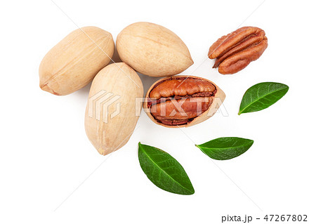 pecan nut decorated with green leaves isolated on white background. Top view. Flat lay 47267802