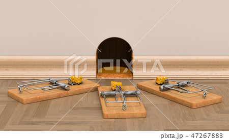 Mouse hole on the wall and mouse traps with cheese 47267883