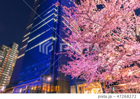ライトアップの桜とビル 六本木 ライトアップの桜とビル 六本木 47268272