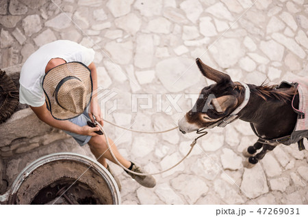 farmer in a village or small town with donkey 47269031
