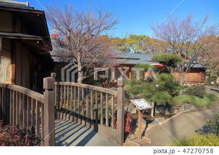 所沢航空記念公園の日本庭園 47270758