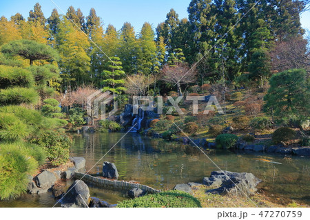 所沢航空記念公園の日本庭園 47270759