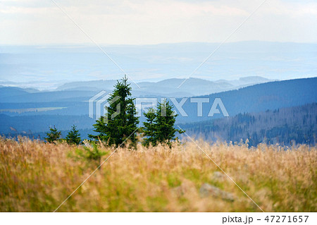 view from Brocken Harz to other hills 47271657