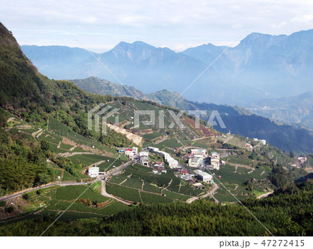 南投 阿里山 玉山 47272415