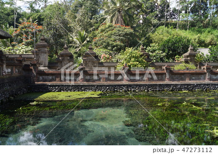 バリ島 ティルタエンプル寺院の聖水が湧く泉 47273112