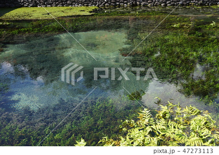 バリ島 ティルタエンプル寺院の聖水が湧く泉 47273113