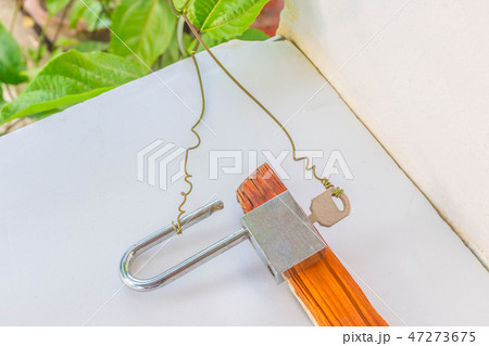 Passionfruit vine open the key on the white floor 47273675