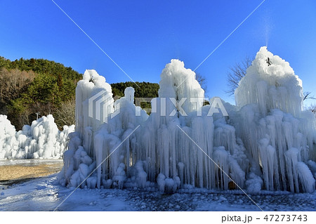 西湖野鳥の森公園の氷の造型 47273743
