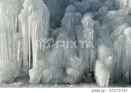 西湖野鳥の森公園の氷の造型 47273747