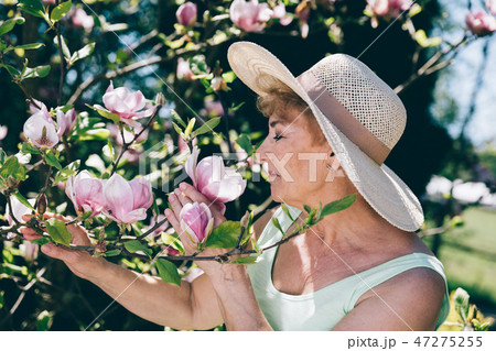 Senior woman smelling flowers on a tree Senior woman smelling flowers on a tree 47275255