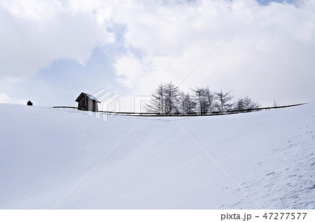 雪景色 冬の風景 雪花 47277577