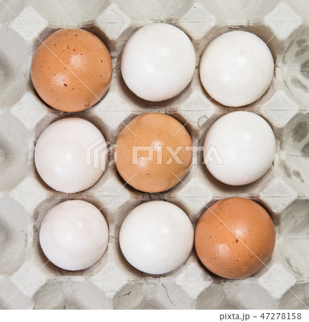 Egg in an egg crate on white background Egg in an egg crate on white background 47278158