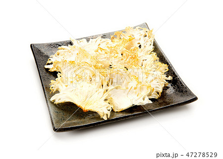 乾燥ヤマブシタケ 47278529