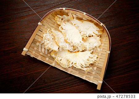 乾燥ヤマブシタケ 47278533