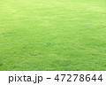 Green field at the public park 47278644