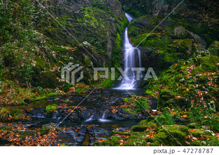 つくばねの滝⑥ 47278787
