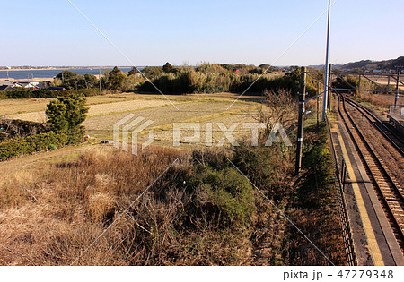 成田線下総豊里駅の跨線橋から見える利根川(5) 47279348