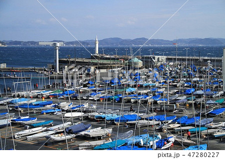 東京2020江の島ヨットハーバー 東京2020江の島ヨットハーバー 47280227