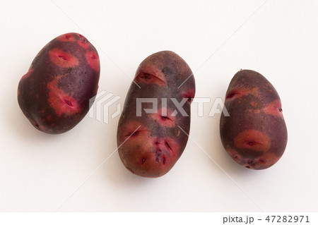 デストロイヤー デストロイヤー 47282971