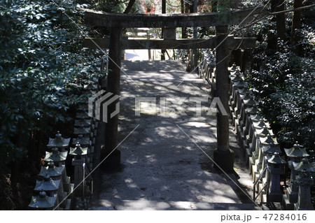 今山八幡宮 47284016