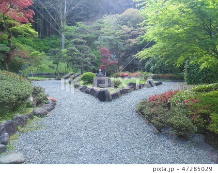 町立湯河原美術館の庭園 町立湯河原美術館の庭園 47285029