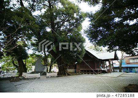 伊豆　音無神社 47285188