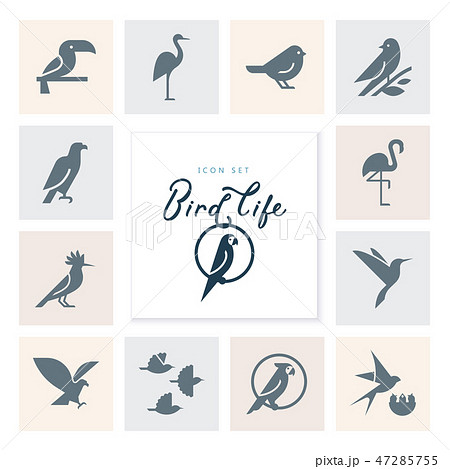Vector birds icon set in flat style for product, brand or graphics. 47285755