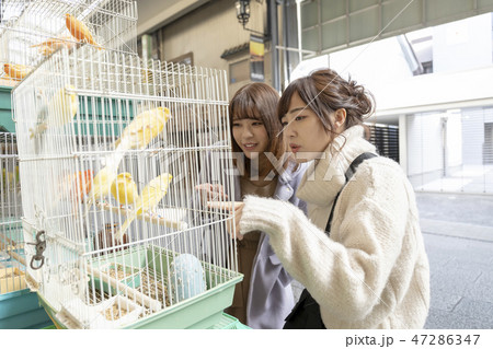 観光　お出かけ　女子旅　イメージ 47286347