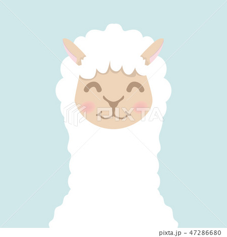 Cute Alpaca Fluffy Head Faceのイラスト素材