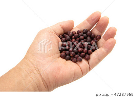 紅大豆 紅大豆 47287969