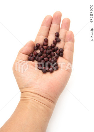 紅大豆 47287970