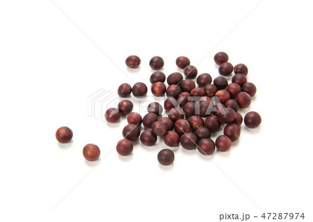 紅大豆 紅大豆 47287974