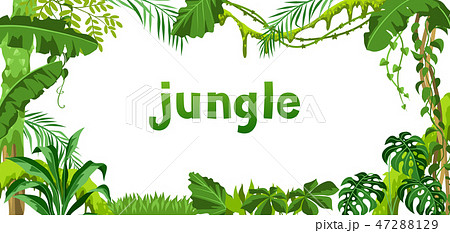 Background with jungle plants. 47288129