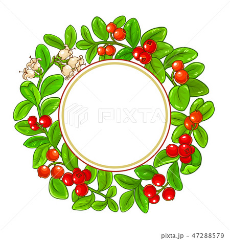 lingonberry vector frame lingonberry vector frame 47288579